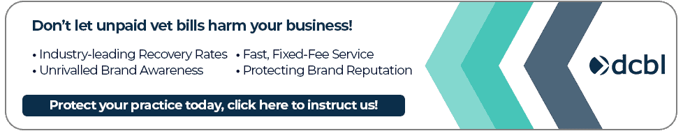 Debt Collection for Vets